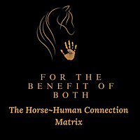 The Horsehuman Connection Matrix
