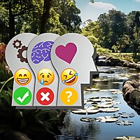 Wellness Check Wednesdays Podcast