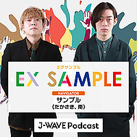 EX SAMPLE