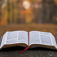 KJV Bible Chronological Daily Reading