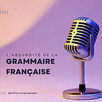 L'absurdité de la grammaire française !
