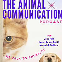 The Animal Communication Podcast