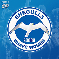 SheGulls Podcast
