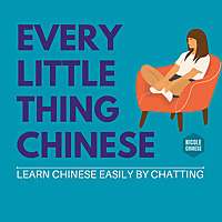 every little thing Chinese