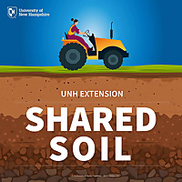 Shared Soil