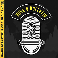 Hook & Bulletin