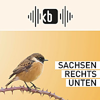 Sachsen rechts unten