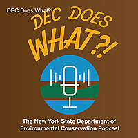 DEC Does What?!