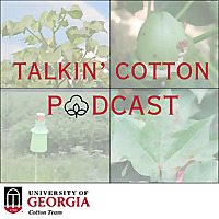 Talkin' Cotton Podcast
