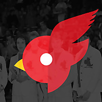 OnlyCardsFans