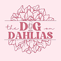 Dig on Dahlias