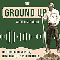 The Ground Up