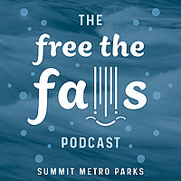 Free the Falls