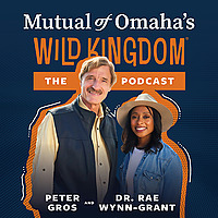 Back From the Brink, from Mutual of Omaha's Wild Kingdom