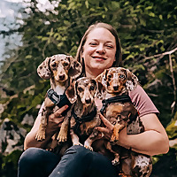 Dachshund's Best Life