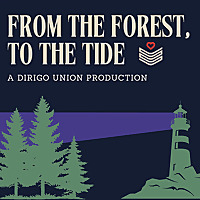 From The Forest, To The Tide
