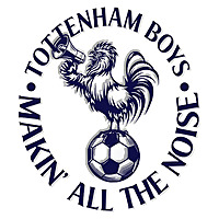 TOTTENHAM BOYS MAKIN' ALL THE NOISE