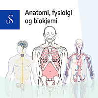 Anatomi, fysiologi og biokjemi   UiS podkast