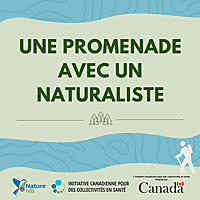 Une promenade avec un naturaliste