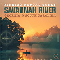 Savannah River Georgia/South Carolina Fishing Report Today