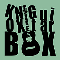 Knox Guitar Box