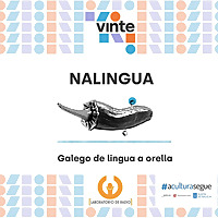 NALINGUA, lecturas dun neofalante