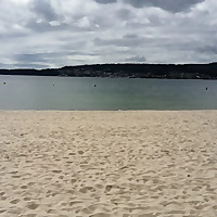 El ensueño literario.