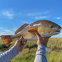 Louisiana Great Outdoors with Don Dubuc