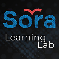 Sora Learning Lab