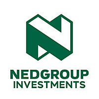 Nedgroup Investments Insights