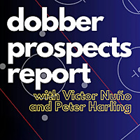 Dobber Prospects Report
