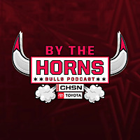 By The Horns: A Chicago Bulls Show