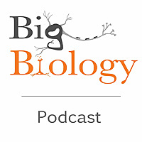 Big Biology