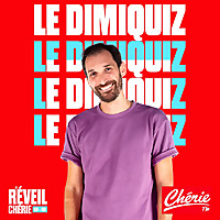 Le Dimiquiz