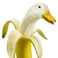 Colonial Rhode Island