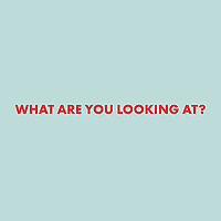 What are you looking at?