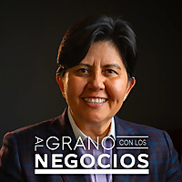 Al Grano con los Negocios
