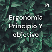 Ergonomia Principio Y objetivo