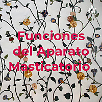 Funciones del Aparato Masticatorio