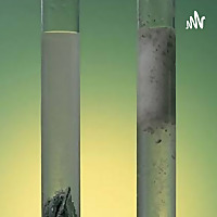 Rapidez De La Reacción