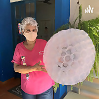 Rosa Maria Da Guia De Santana