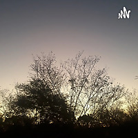 Boa Noite, Nordeste!