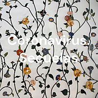 Coronavirus. Secuelas