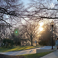 Environmental studies