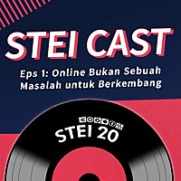 STEI-CAST