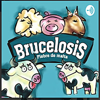 Brucelosis