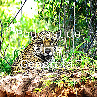 Podcast de Uma Geografa