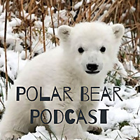 Polar Bear Podcast