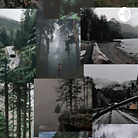 Potterhead_TVD_Twilight_Fandom