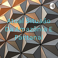 Atual Situação Da Amazônia E Pantanal